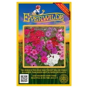 Everwilde Farms - 1000 Mixed Annual Phlox Native Wildflower Seeds - Gold Vault Jumbo Bulk Seed Packet