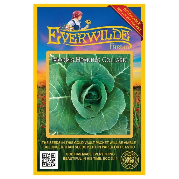 Everwilde Farms - 1000 Morris Heading Collard Seeds - Gold Vault Jumbo Bulk Seed Packet