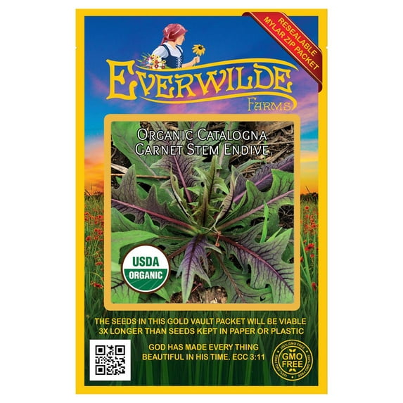 Everwilde Farms - 1000 Organic Catalogna Garnet Stem Endive Seeds - Gold Vault Jumbo Bulk Seed Packet