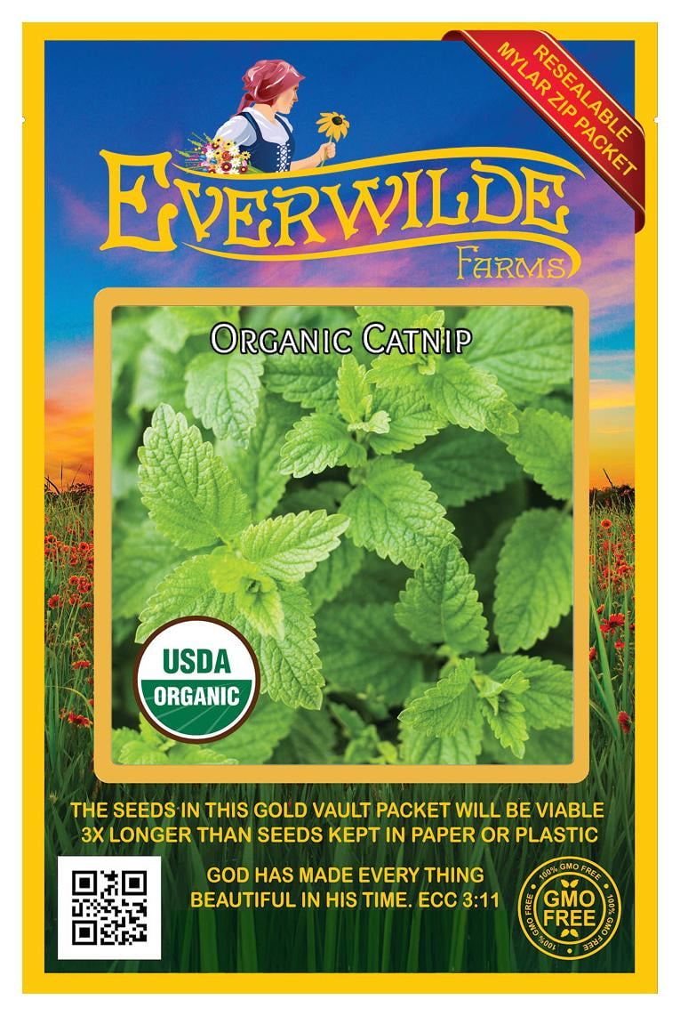 Everwilde Farms 1000 Organic Catnip Herb Seeds Gold Vault Jumbo