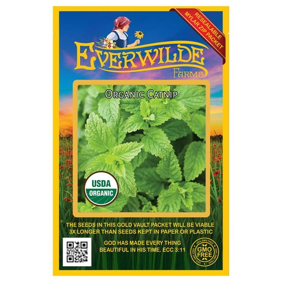 Everwilde Farms - 1000 Organic Catnip Herb Seeds - Gold Vault Jumbo Bulk Seed Packet