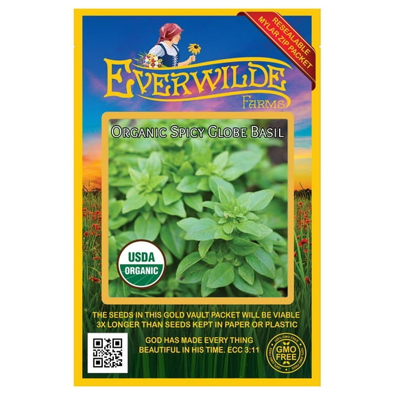 Everwilde Farms - 1000 Organic Spicy Globe Basil Herb Seeds - Gold Vault Jumbo Bulk Seed Packet