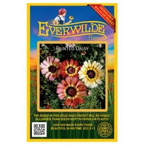 Everwilde Farms 1000 Painted Daisy Flower Seeds, Resealable Mylar Packaging