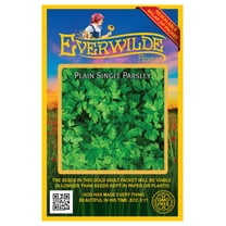 Everwilde Farms - 1000 Plain Single Parsley Seeds - Gold Vault Jumbo Bulk Seed Packet