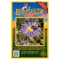 Everwilde Farms - 1000 Prairie Aster Native Wildflower Seeds - Gold Vault Jumbo Bulk Seed Packet