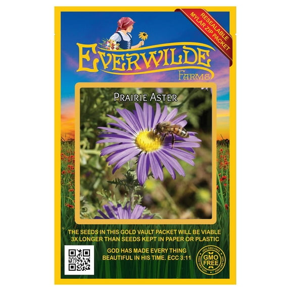 Everwilde Farms - 1000 Prairie Aster Native Wildflower Seeds - Gold Vault Jumbo Bulk Seed Packet