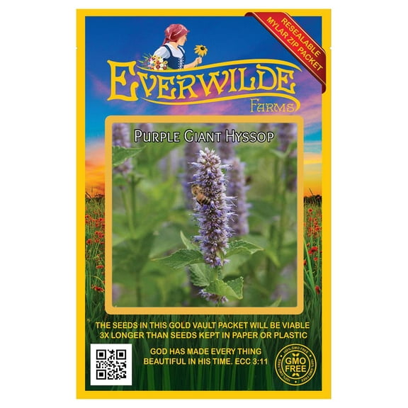 Everwilde Farms - 1000 Purple Giant Hyssop Native Wildflower Seeds - Gold Vault Seed Packet