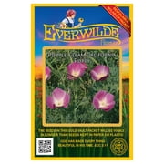 Everwilde Farms - 1000 Purple Gleam California Poppy Garden Flower Seeds - Gold Vault Jumbo Bulk Seed Packet