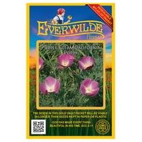 Everwilde Farms - 1000 Purple Gleam California Poppy Garden Flower Seeds - Gold Vault Jumbo Bulk Seed Packet