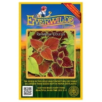 Everwilde Farms - 1000 Coleus Rainbow Mix Wildflower Seeds - Gold Vault Seed Packet