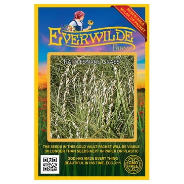 Everwilde Farms - 1 oz Inland Rush Native Grass Seeds - Gold Vault Bulk ...