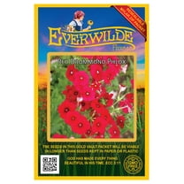 Everwilde Farms 1000 Red Drummond Phlox Flower Seeds, Native Wildflower