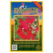 Everwilde Farms 1000 Red Drummond Phlox Flower Seeds, Native Wildflower