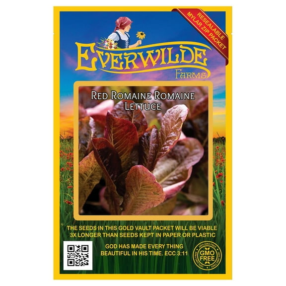 Everwilde Farms - 1000 Red Romaine Romaine Lettuce Seeds - Gold Vault Jumbo Bulk Seed Packet