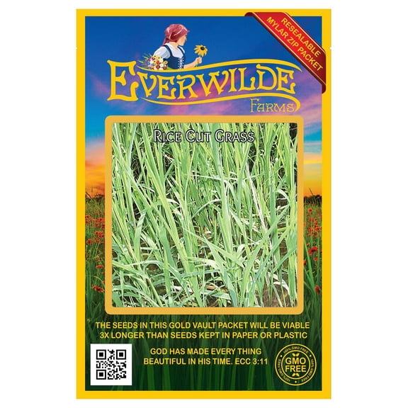 Everwilde Farms - 1000 Rice Cut Grass Native Grass Seeds - Gold Vault Seed Packet