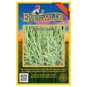 Everwilde Farms - 1000 Rice Cut Grass Native Grass Seeds - Gold Vault Seed Packet