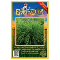 Everwilde Farms - 1000 Rough Dropseed Native Grass Seeds - Gold Vault Jumbo Bulk Seed Packet