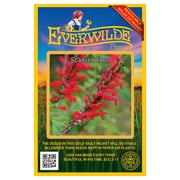 Everwilde Farms 1000 Scarlet Sage Flower Seeds, Native Wildflower