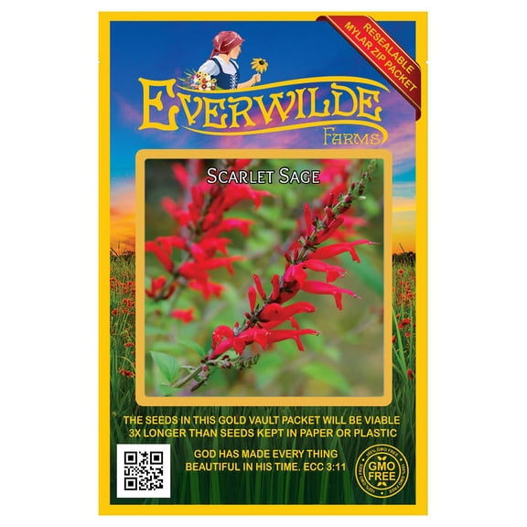 Everwilde Farms 1000 Scarlet Sage Flower Seeds, Native Wildflower