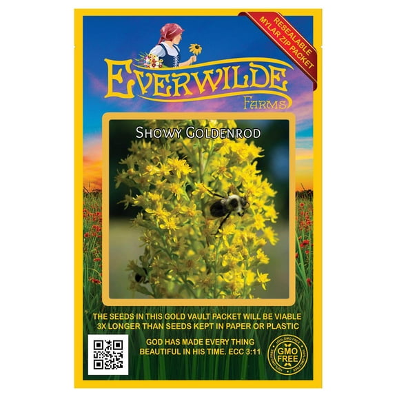 Everwilde Farms - 1000 Showy Goldenrod Native Wildflower Seeds - Gold Vault Seed Packet