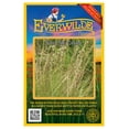 thumbnail image 1 of Everwilde Farms - 1000 Side Oats Grama Native Grass Seeds - Gold Vault Jumbo Bulk Seed Packet, 1 of 5