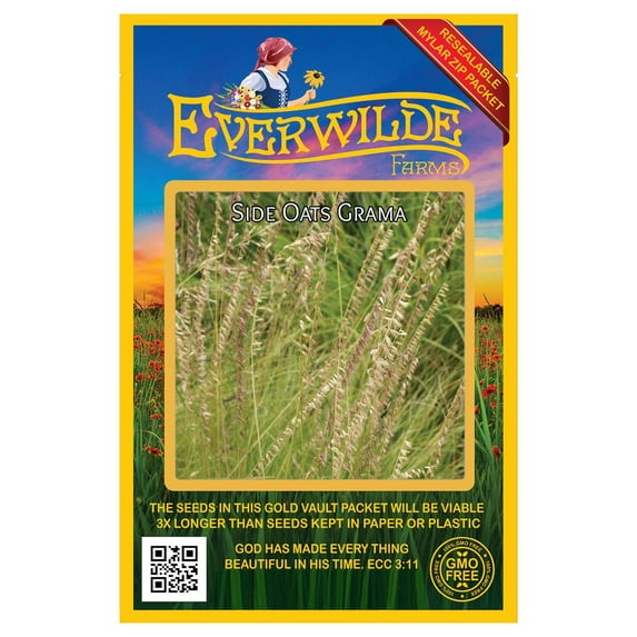 Everwilde Farms - 1000 Side Oats Grama Native Grass Seeds - Gold Vault Jumbo Bulk Seed Packet