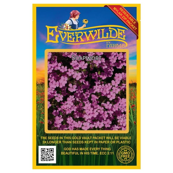 Everwilde Farms - 1000 Soapwort Garden Flower Seeds - Gold Vault Jumbo Bulk Seed Packet