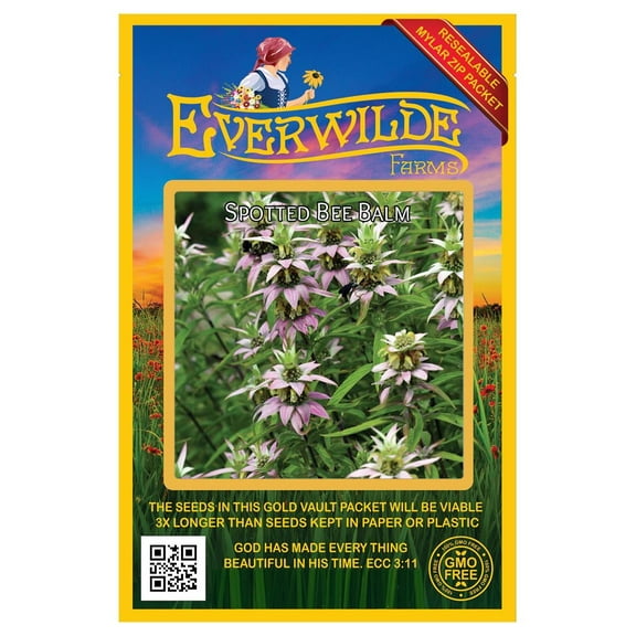 Everwilde Farms 1000 Spotted Bee Balm Flower Seeds, Drought Tolerant