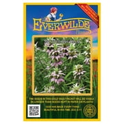 Everwilde Farms - 1000 Spotted Bee Balm Native Wildflower Seeds - Gold Vault Jumbo Bulk Seed Packet
