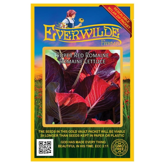 Everwilde Farms - 1000 Super Red Romaine Romaine Lettuce Seeds - Gold Vault Jumbo Bulk Seed Packet