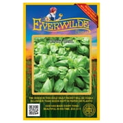 Everwilde Farms - 1000 Sweet Basil Herb Seeds - Gold Vault Jumbo Bulk Seed Packet