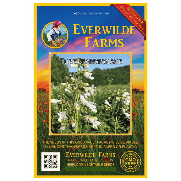 Everwilde Farms - 1000 Tube Beardtongue Native Wildflower Seeds - Gold Vault Seed Packet