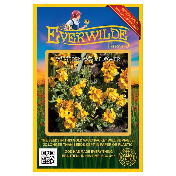 Everwilde Farms - 1000 Western WallFlower Native Wildflower Seeds - Gold Vault Seed Packet