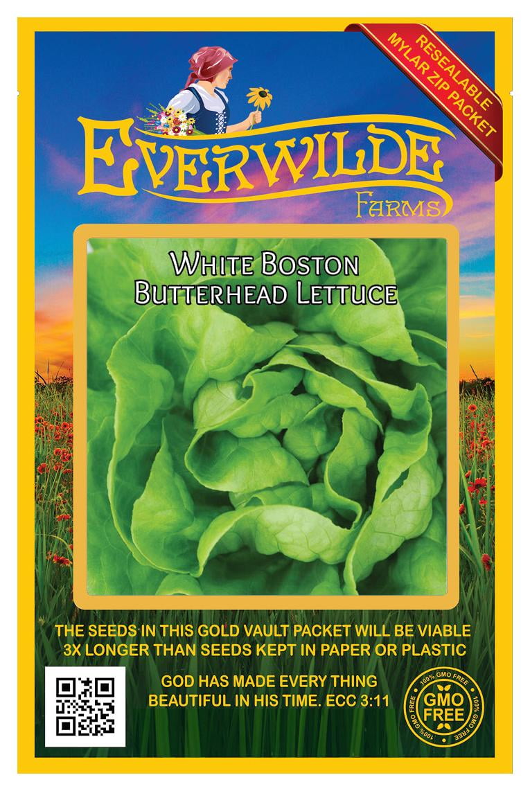 Everwilde Farms 1000 White Boston Butterhead Lettuce Seeds Gold