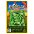 Everwilde Farms 1000 White Boston Butterhead Lettuce Seeds Gold