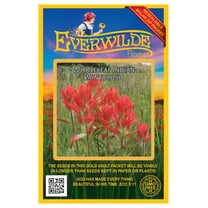 Everwilde Farms - 1000 Wholeleaf Indian Paintbrush Native Wildflower Seeds - Gold Vault Seed Packet