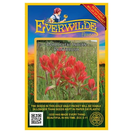 Everwilde Farms - 1000 Wholeleaf Indian Paintbrush Native Wildflower Seeds - Gold Vault Seed Packet