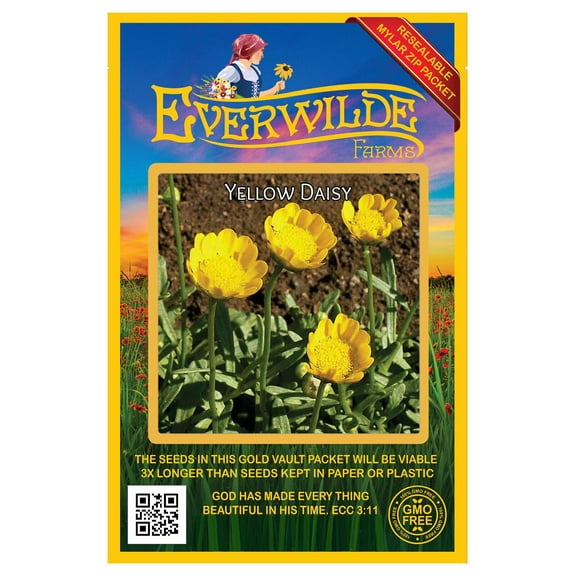 Everwilde Farms - 1000 Yellow Daisy Garden Flower Seeds - Gold Vault Jumbo Bulk Seed Packet
