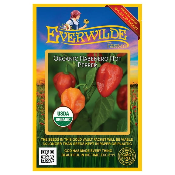 Everwilde Farms - 12 Organic Habenero Hot Pepper Seeds - Gold Vault Jumbo Bulk Seed Packet