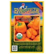 Everwilde Farms - 12 Organic Orange Sun Sweet Pepper Seeds - Gold Vault Jumbo Bulk Seed Packet