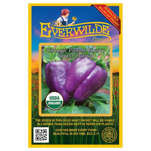 Everwilde Farms - 12 Organic Purple Beauty Sweet Pepper Seeds - Gold Vault Jumbo Bulk Seed Packet
