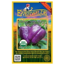 Everwilde Farms - 12 Organic Purple Beauty Sweet Pepper Seeds - Gold Vault Jumbo Bulk Seed Packet