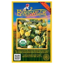 Everwilde Farms - 12 Organic Small Mixed Gourd Seeds - Gold Vault Jumbo Bulk Seed Packet