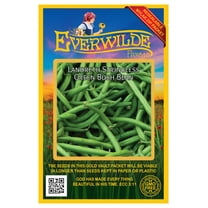 Everwilde Farms - 120 Landreth Stringless Green Bush Bean Seeds - Gold Vault Jumbo Bulk Seed Packet