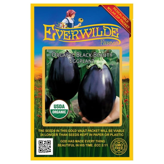 Everwilde Farms - 125 Organic Black Beauty Eggplant Seeds - Gold Vault Jumbo Bulk Seed Packet