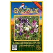 Everwilde Farms 1250 Dwarf Mixed Columbine Flower Seed