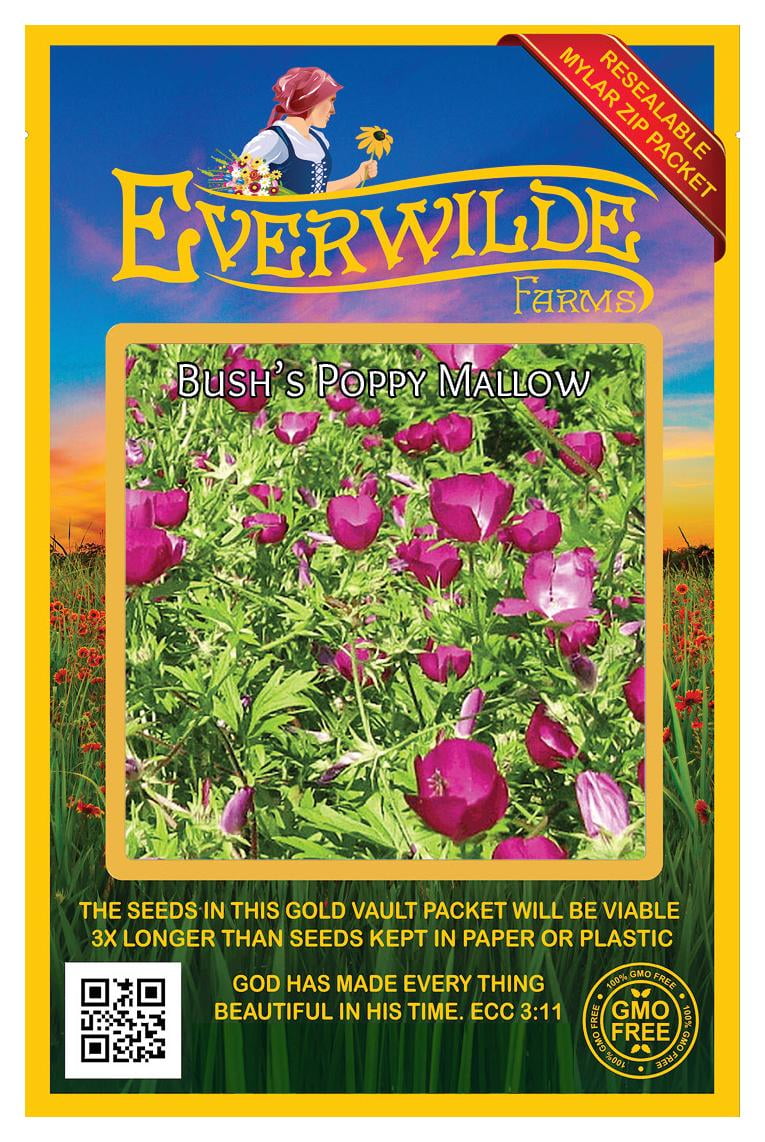 Bush's Poppy Mallow Native Wildflower Seeds in Jumbo Packet