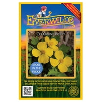 Everwilde Farms - 15 Celandine Poppy Native Wildflower Seeds - Gold Vault Seed Packet