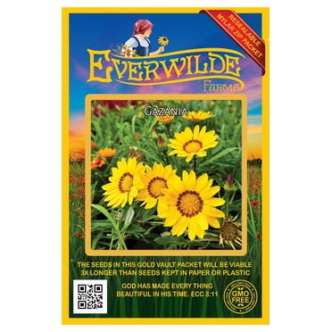 Everwilde Farms - 15 Gazania Garden Flower Seeds - Gold Vault Jumbo Bulk Seed Packet