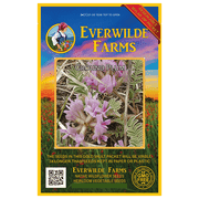 Everwilde Farms - 15 Ground Plum Native Wildflower Seeds - Gold Vault Jumbo Bulk Seed Packet
